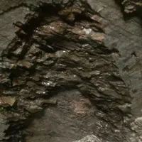 مغنی چاه کن|خدمات پیشه و مهارت|کرمانشاه, |دیوار