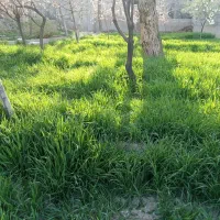 نیازمندیم