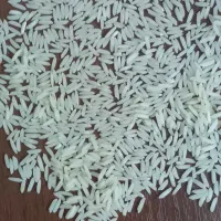 برنج  دونوج طارم هاشمی