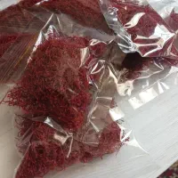 زعفران اصل قائنات