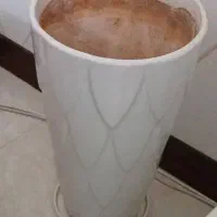 گلدان بزرگ سرامیکی|گل و گیاه طبیعی|قم, باغ کرباسی|دیوار