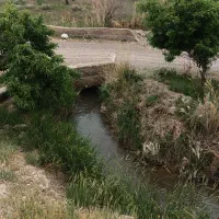 فروش و تهاتر ۴هکتار زمین باغی زراعی بومگردی و ...|فروش دفتر صنعتی، کشاورزی، تجاری|نوبران, |دیوار