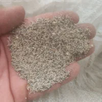 بذر گیاهی دانه دارویی