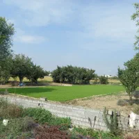 زمین باغی ۲۵۰ متر معاوضه با ...|فروش زمین و ملک کلنگی|زرگرشهر, |دیوار