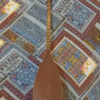 تنبور ۲ مهر براخانی