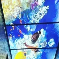 لاین نوری، سقف کشسان. اپوکسی، کناف|خدمات پیشه و مهارت|بومهن, |دیوار