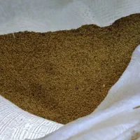بذز یونجه