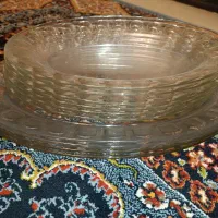 دیس برنج خوری و مرغ خوری