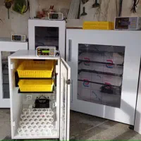 دستگاه جوجه کشی تمام اتوماتیک ، خانگی ، صنعتی