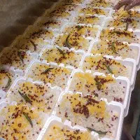 به یک کمکی اشپز نیازمندیم