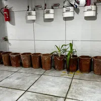 فروش لباس شویی دوو کرهای اصل تمام اتوماتیک|ماشین لباسشویی و خشک‌کن لباس|صدرا-فارس, فاز ۱|دیوار