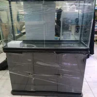 آکواریوم ساحل کنگان