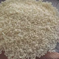 1تن برنج کامفیروزی تضمینی