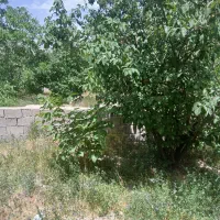 باغ لب جاده اصلی بعد از تونل سیرچ