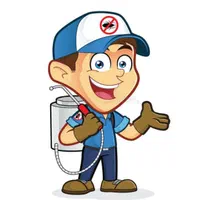 سم پاشی سمپاشی سم موریانه ساس سوسک موش مگس تضمینی