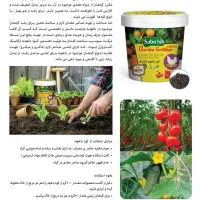 گیاهان آپارتمانی بارشد دوبرابر و شادابی وبا طراوت|گل و گیاه طبیعی|پاکدشت, خاتون آباد|دیوار