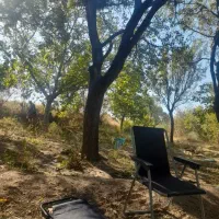 باغ گردو بادام