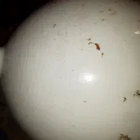 گازCNG درحدنو|قطعات یدکی و لوازم جانبی|اهواز, کوی جواهری|دیوار