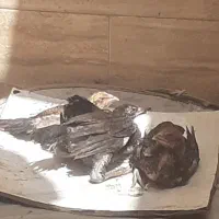۲ تا نیمچه مرغ و۱عدد خروس لاری