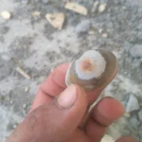 سنگ کلکسیونی