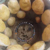 فروش فوری وضروری تنورگازی گرد|اجاق گاز و لوازم برقی پختوپز|سمنان, |دیوار