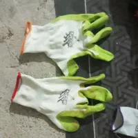 دستکش