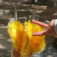 ظرفشور ..پاک کننده سطوح