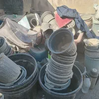 پلاستیکی کارکرده گلدان جهت برای نهال درخت گل وگیاه|گل و گیاه طبیعی|تهران, سید خندان (جلفا)|دیوار