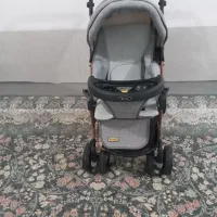 کالسکه دلیجان مدل بنیتا