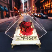 گل رز جاودان پایه سنگ کد ۳۱