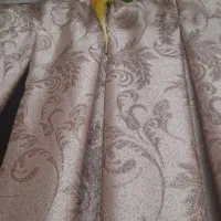 مرغ عشق ماده