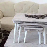 مبل وگل میز