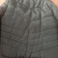 کاپشن مردانه|لباس|گلبهار, شهر جدید گلبهار|دیوار