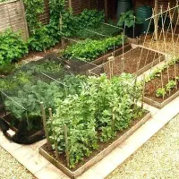 خدمات کشاورزی کاشت پاییزی باغ سرحال