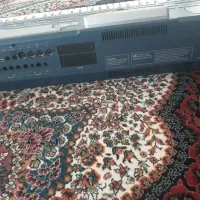 ارکp800|پیانو، کیبورد، آکاردئون|رباط‌کریم, الارد|دیوار