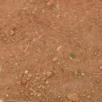 زمین-واقع-در-قلعه-نو-املاک