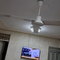 کالا
