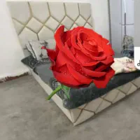 تخت خواب|تخت و سرویس خواب|شوش, |دیوار