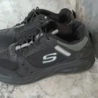 کفش اسپورت