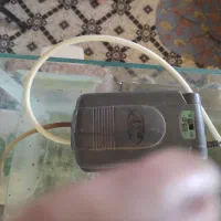 اکواریوم و پمپ|ماهی|سبزوار, قاضی زاد|دیوار