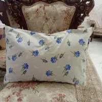 بالشت پر