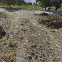 زمین زراعی و کشاورزی|اجارهٔ دفتر صنعتی، کشاورزی، تجاری|کیار, |دیوار