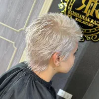 رنگ و لایت حرفه ای