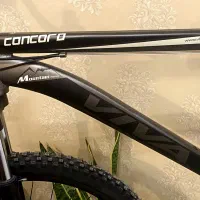 دوچرخه ویوا کانکورد سایز ۲۹ زیر قیمت