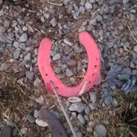 نعلبندی و قیار|اسب و تجهیزات اسب‌سواری|ارومیه, |دیوار