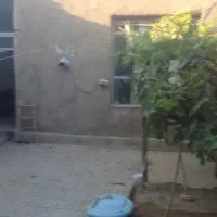 کرایه خانه زمینی دربست