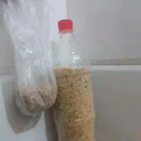 مرغ عشق باقفس باغذاخوری وآب خوری و ارزن کتان|پرنده|طبس, |دیوار