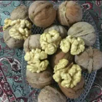 گردوی چرب مغز پر سفید