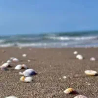 تور گروهی شمال فریدونکنار