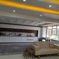 تک واحدی ۱۹۵متر/بر خیابان اصلی/معاوضه با ویلایی|فروش آپارتمان|دورود, |دیوار